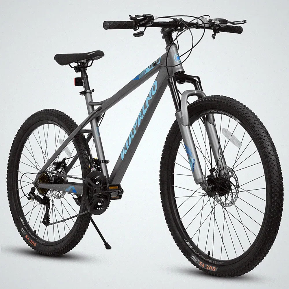 21-Speed Mountain Bike Bicycle Dual Disc Brakes Outdoor Cycling for Adults Teens