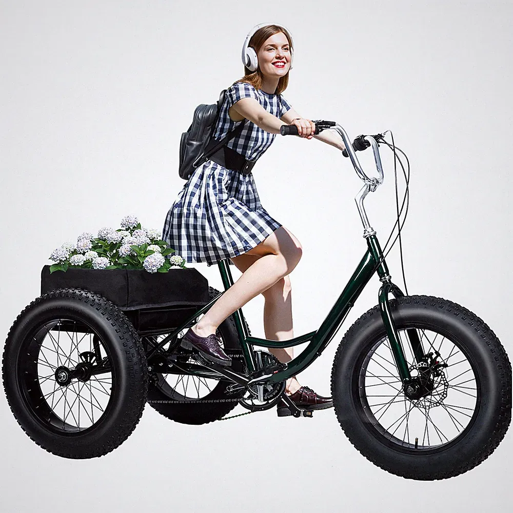 7 Speed Fat Tire Tricycle 20in 450lbs Dual Disc Brake for Adult 67.7in